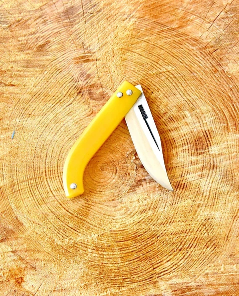 Tapan Aşı Bıçağı 21 cm Paslanmaz - 2