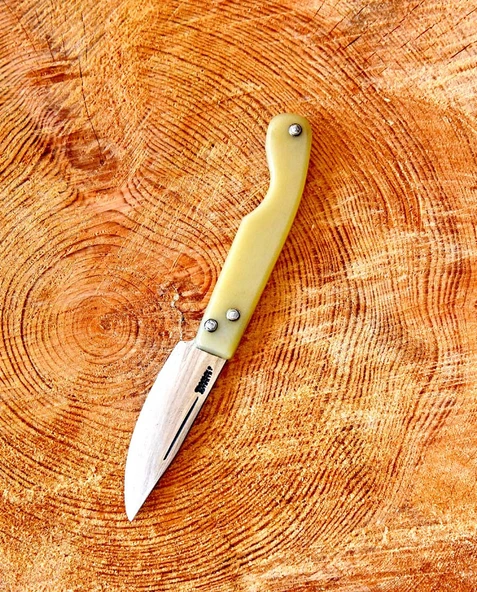Tapan Aşı Cep Çakısı 18 cm Sarı - 2