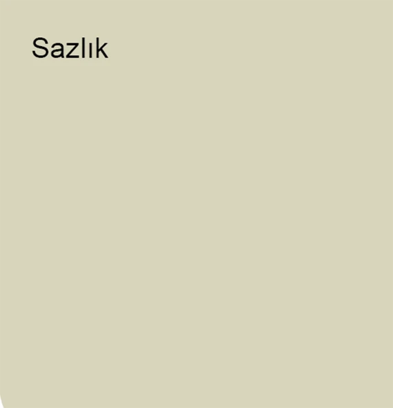 Marshall Silikonlu Özel Mat Sazlık 15lt (20 Kg) - 2