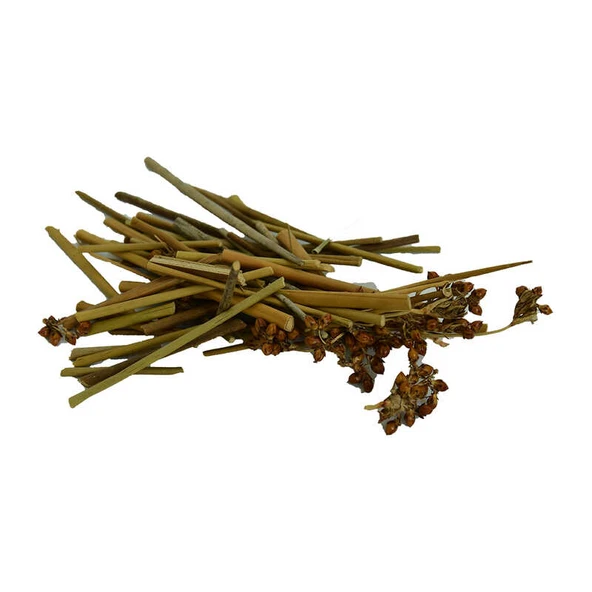 Kayışkıran Otu Doğal 1000 Gr Paket - 3