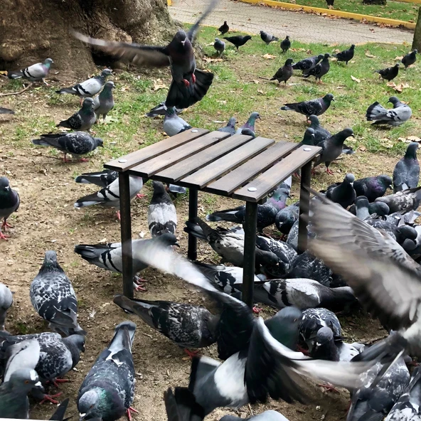 Bag The Joy 40x40x40 cm Ahşap Katlanır Kamp ve Piknik Masası - Antrasit - 7