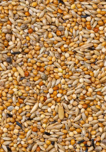 Deli Nature Premium Muhabbet Yemi 1100gr - 2