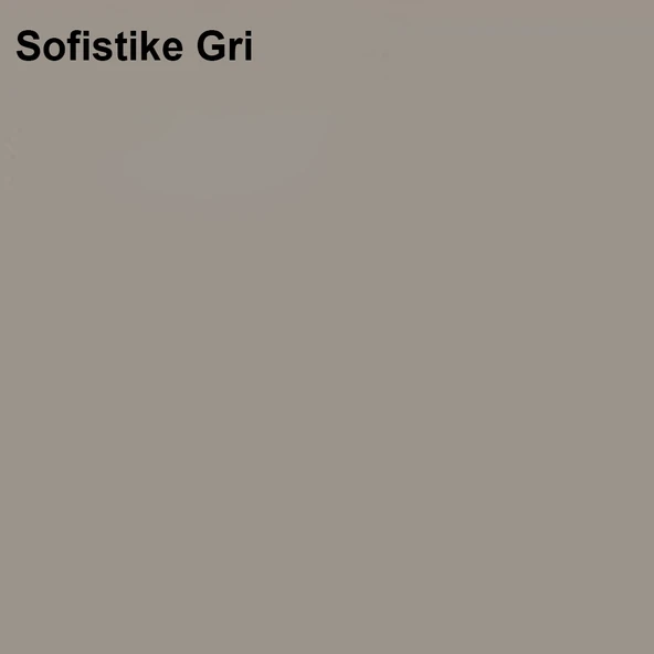 Marshall Silikonlu Özel Mat Sofistike Gri 0,75lt (1 Kg) - Resim 2