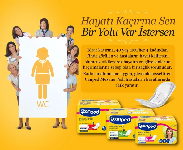 Canped Mesane Pedi Klasik L - Large - Büyük Boy 20 Adet - Resim 3