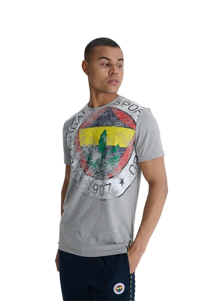 Fenerbahçe Orijinal Lisanslı 6 Renk Logo Gri Tribün T-Shirt Hediyelik Ahşap Kutulu - 7