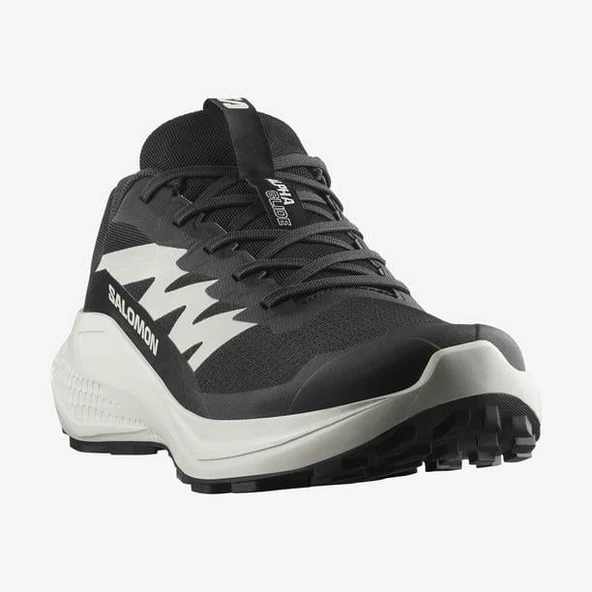 Salomon Alphaglide Erkek Koşu Ayakkabısı - 5