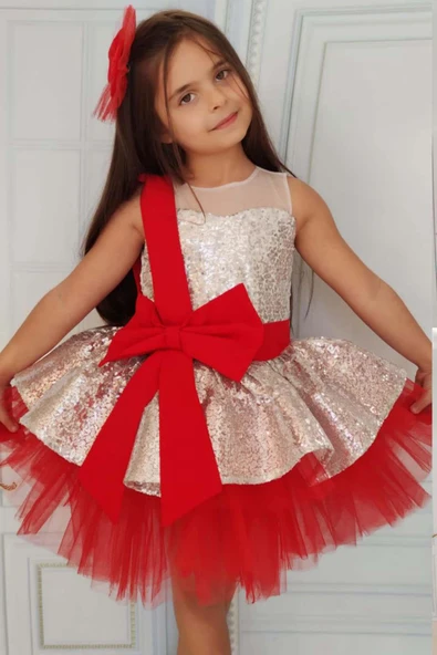 Kız Çocuk Önü ve Arkası Fiyonk Detaylı Üstü Pulpayet İşlemeli Etek Ucu Tüllü Gümüş Abiye ürün görseli