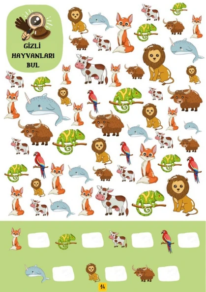 Gizli Hayvanları ve Gizli Nesneleri Bulma YAZ-SİL Kitabı - Resim 5