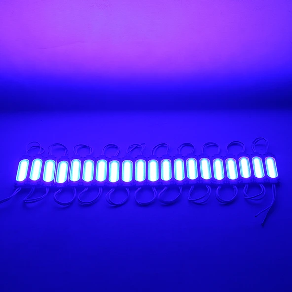 POWERMASTER MODÜL LED 12V 2W MAVİ 68X16 MM