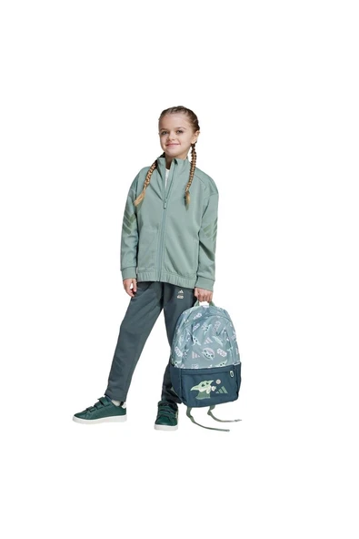 adidas Erkek  Yeşil  Ceket LK SW MNDO TT JF3653 - 4