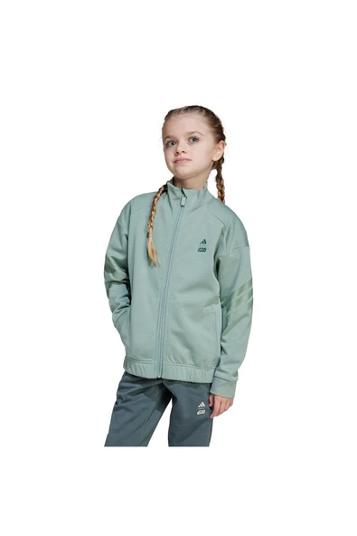 adidas Erkek  Yeşil  Ceket LK SW MNDO TT JF3653 - 2