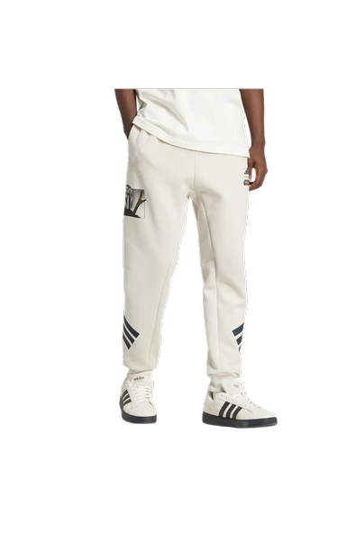 adidas Erkek  Bej  Eşofman Altı M SW TM SWTPNTS JI5723 - 4
