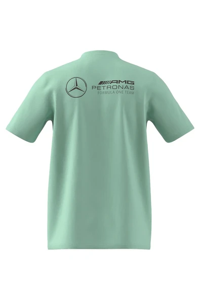 adidas Yeşil Erkek   T-Shirt MER PW GFXTEE M JY3033 - Resim 11
