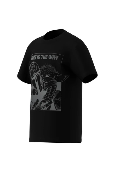 adidas Siyah Unisex Çocuk   T-Shirt J SW MNDO GFX T JD4547 - Resim 12