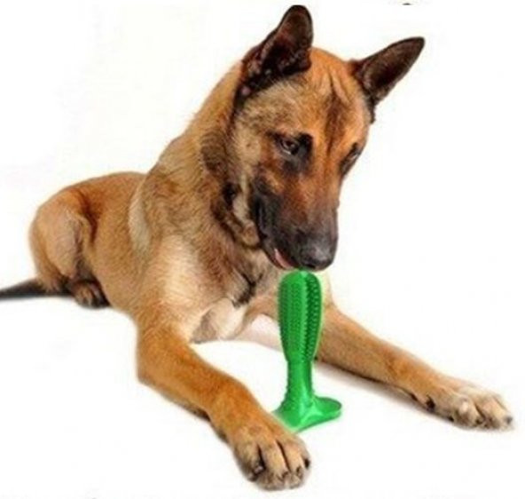 Köpek Diş Fırçası Isırma Aparatı Oyuncak Sağlık Diş Temizleme At Yakala Getir Oyuncağı İlgi Çekici