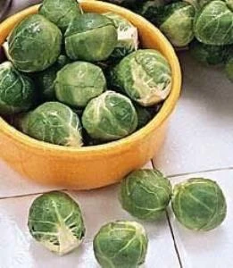 Ata Tohum Doğal Long Island Improved Brüksel Lahanası Tohumu(50 tohum) ürün görseli