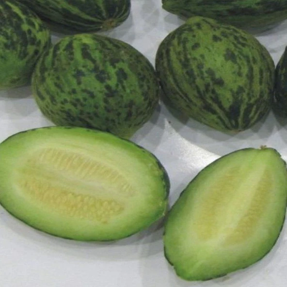 Ata Tohum Geleneksel Meriç Turşuluk Kavun Tohumu (20 tohum) ürün görseli 1