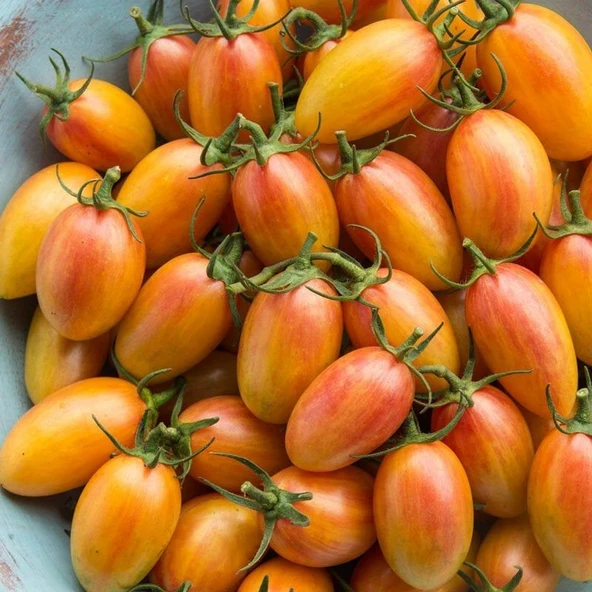 Blush Cherry Domates Tohumu (15 tohum) - 2