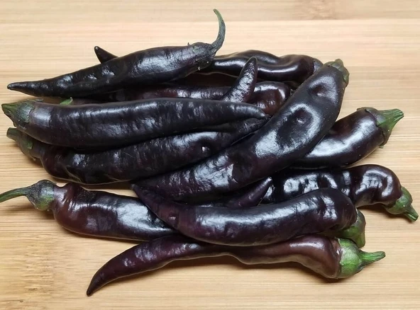 Siyah Uzun Tatlı Biber Tohumu (15 Tohum)