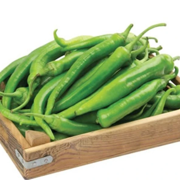 Ata Tohumu Salçalık Közlemelik Kızartmalık Şah Acı Etli Sivri Biber Tohumu (70 Tohum) ürün görseli