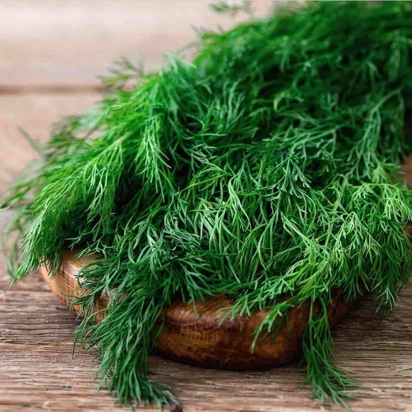 Ata Tohum Uzun Dere Otu Tohumu( 200 Tohum )