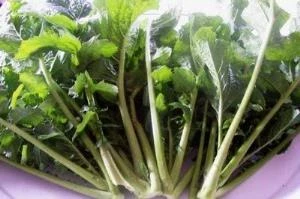 Doğal Hardal Otu Tohumu(100 tohum) ürün görseli