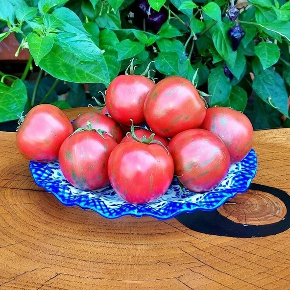 Vernissage Pink Etli Pembe Domates Tohumu (15 tohum) ürün görseli