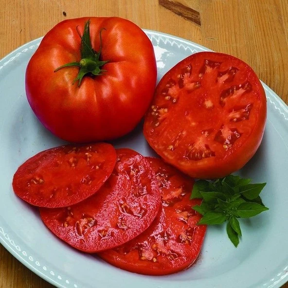 Beef f1 Sırık Kahvaltılık Etli Domates Tohumu (10 tohum)