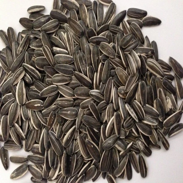 Doğal Siyah Çerezlik Çitlemelik Ayçiçeği Çekirdek Tohumu (1 KG) ürün görseli