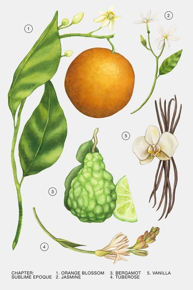 ZARA SUBLIME EPOQUE EDP 30 ML (1,0 FL. OZ) İND20110567999991SE - Resim 3