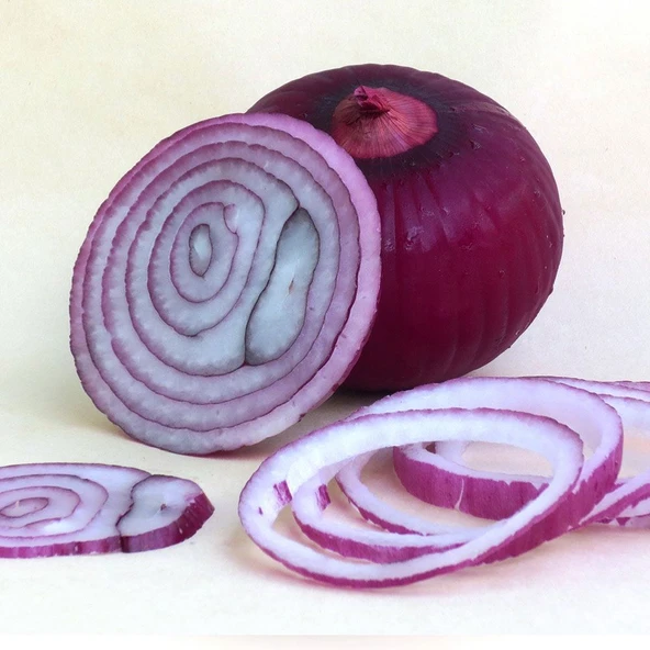 ByKurt Sunagri Mor Soğan Tohumu - Uzun Gün Çeşidi Yüksek Rakımlara Uyumlu - 3