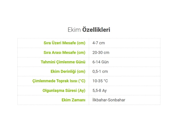 ByKurt Sunagri Mor Soğan Tohumu - Uzun Gün Çeşidi Yüksek Rakımlara Uyumlu - 4
