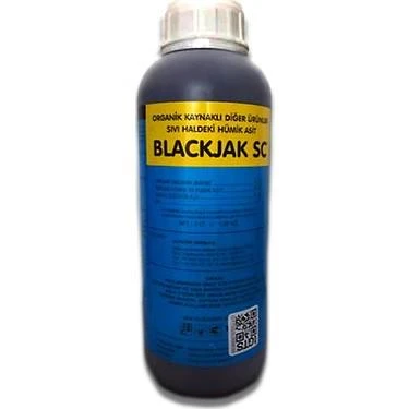Blackjak 1Lt