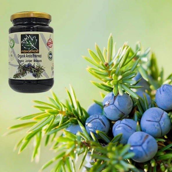 Aşıkzade Organik Andız Pekmezi 370ml 480 G - 2