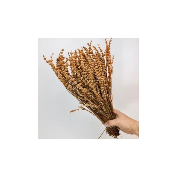 Şoklu Lavanta Çiçeği Demeti Gül Kurusu 40-50 cm - 2