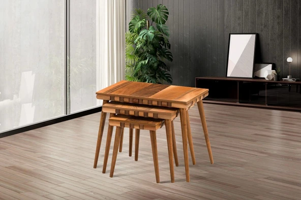 NİVEMESHOME SAFARİ CEVİZ ZİGON SEHPA