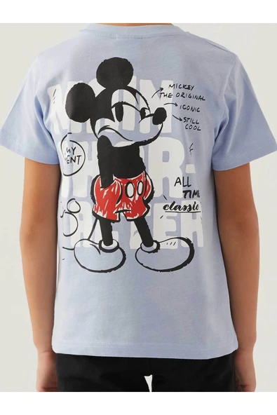 Disney Erkek Çocuk Bermuda Takım - 5