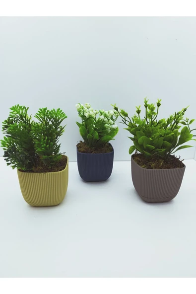 DDTREND Kare Saksıda Yapay Çiçek Bitki , Gerçek Taş Yosunlu 3 LÜ SET - 5
