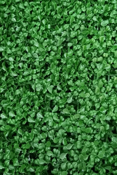 DDTREND Dekoratif Yapay Bitki Duvar Kaplama Panel Şimşir Tabaka 40x60 cm Yeşil Dikey Bahçe - 3