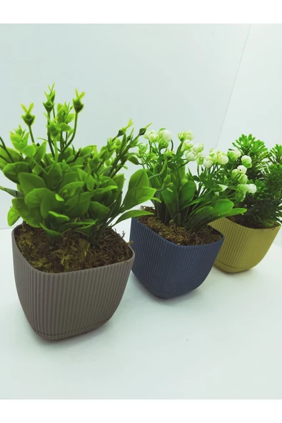 DDTREND Kare Saksıda Yapay Çiçek Bitki , Gerçek Taş Yosunlu 3 LÜ SET - 4