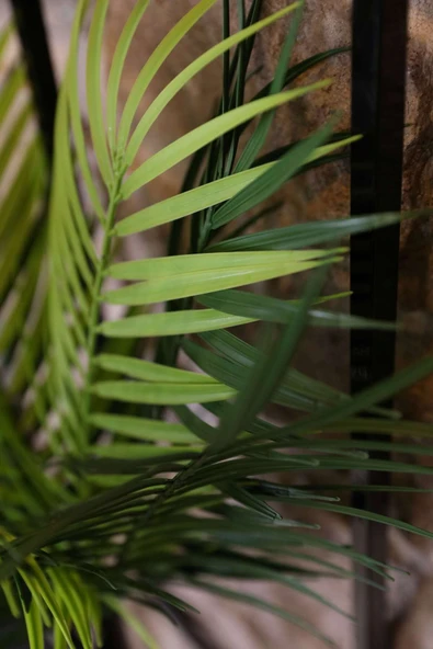 DDTREND Dekoratif Metal Saksıda Yapay Çiçek Aranjman Duvar Saksısı DDS-M201 - 4