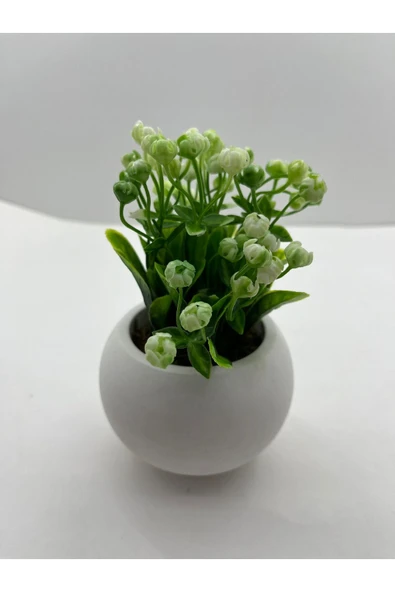 DDTREND Beton Saksıda 3 lü Set Yapay Çiçek Bitki , Gerçek Taş Yosunlu DDBS-01 - Resim 6