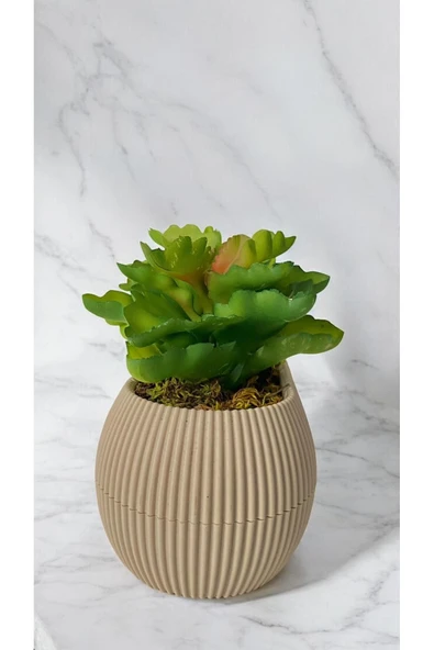 DDTREND Yapay Kaktüs Echeveria Rosea Enrica Sukulent BEJ Saksılı Yeşil Renk 11 cm. - Resim 4