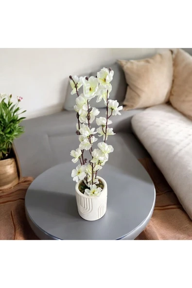 DDTREND Beton Saksıda Gerçek Taş Yosunlu Yapay Japon Kiraz Çiçeği,Saksı ,Aranjman , Ev dekorasyon - 2