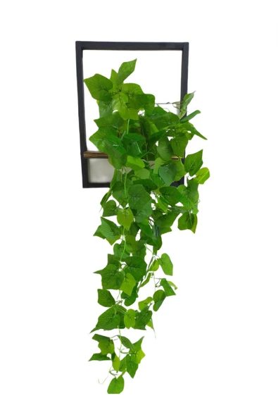 DDTREND Ahşap Çerçeve Raflı Saksıda Sarkan Üzüm Yaprağı 5 Dal Sarmaşık Yapay Çiçek - 2