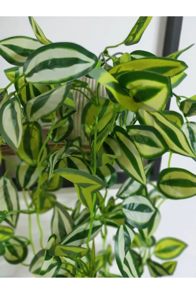 DDTREND Ahşap Çerçeve Raflı Saksıda Sarkan Yeşil Beyaz Zebrina Yapraklı 5 Dal Sarmaşık Yapay Çiçek - 3