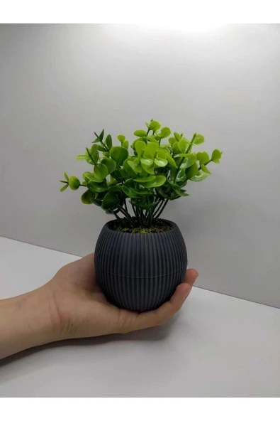 DDTREND Mini Saksıda Yapay Bitki Şimşir Gerçek Taş Yosunlu Toplam 18 Cm Dekoratif Banyo Mutfak Masa Çiçeği - Resim 3