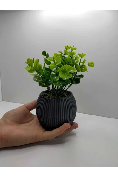 DDTREND Mini Saksıda Yapay Bitki Şimşir Gerçek Taş Yosunlu Toplam 18 Cm Dekoratif Banyo Mutfak Masa Çiçeği - Resim 2