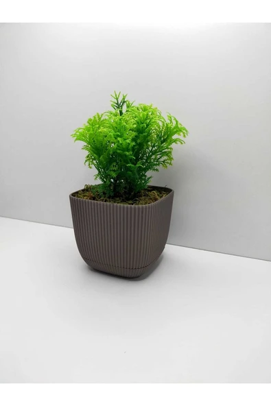 DDTREND Mini Kare Saksıda Çim Yeşili Yapay Çiçek Bitki , Gerçek Taş Yosunlu Banyo Mutfak Masa Çiçeği