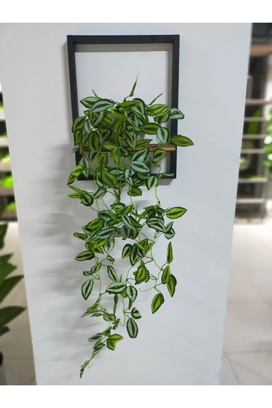 DDTREND Ahşap Çerçeve Raflı Saksıda Sarkan Yeşil Beyaz Zebrina Yapraklı 5 Dal Sarmaşık Yapay Çiçek - 4